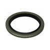 RVS Sealring  2"