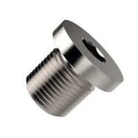 Plug 1"Bsp