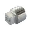 Plug 1-1/2" Bu RVS