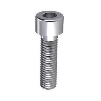 Bolkop Imbusbout RVS 12x50