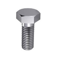 Bolkop Imbusbout RVS 12x50